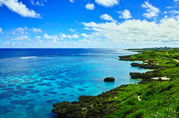 istock Sea of coral reef 951850448