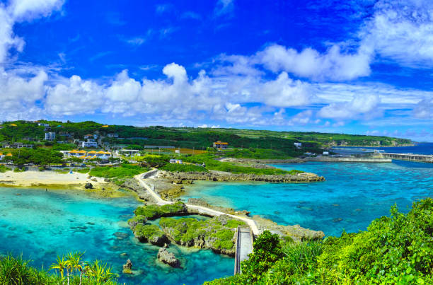 istock Im Gya Marine garden 951850598