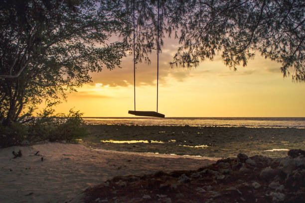 istock Wooden swing on tree with sunset background 951851644