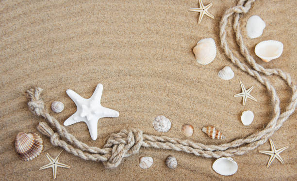 istock Seashells and sea decorations with rope 951855894