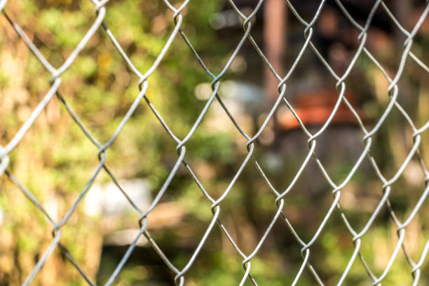 istock Fence around the green garden 951857102