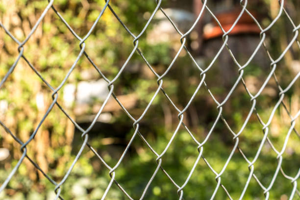 istock Fence around the green garden 951859148