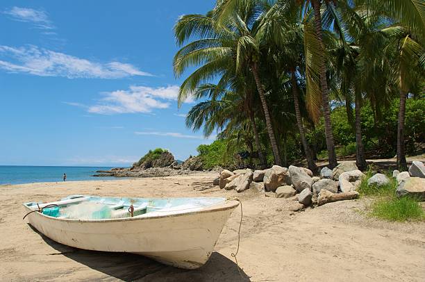 Horizontal mexican fishing boat beached in the tropical sand below a canopy of palm trees