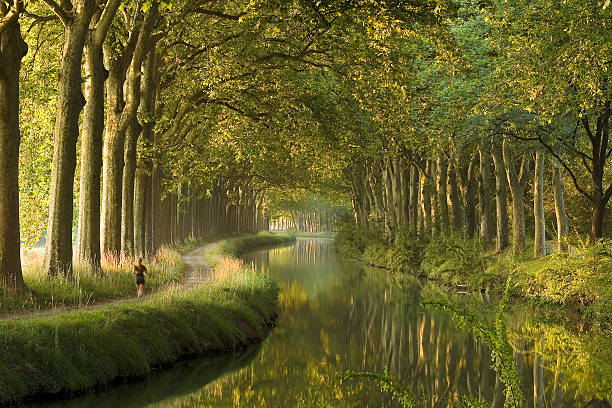 istock Canal du Midi in the morning 95186464