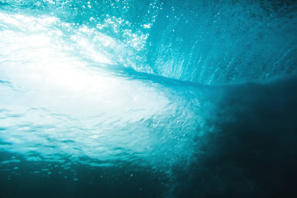 fala podwodna w tropikalnym morzu i słońcu. tekstura wody w oceanie - lens barrel zdjęcia i obrazy z banku zdjęć