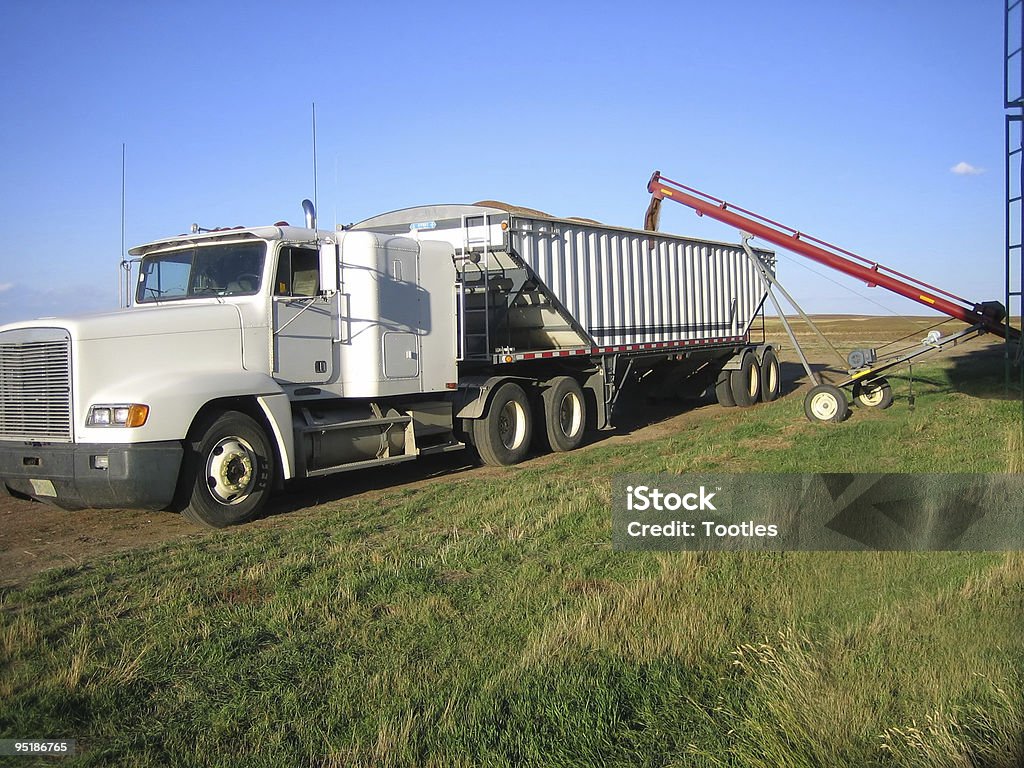 loading grain truck  Cereal Plant Stock Photo
