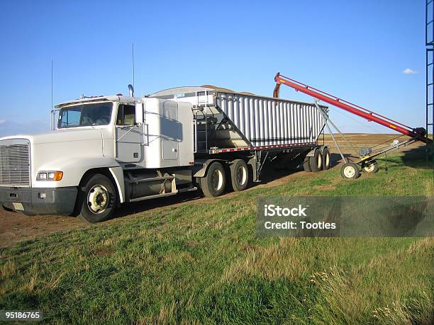 Loading Grain Truck Stock Photo - Download Image Now - Cereal Plant, Transportation, Adult