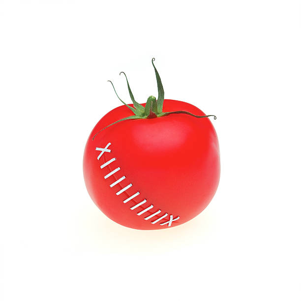 Tomato surgery stock photo