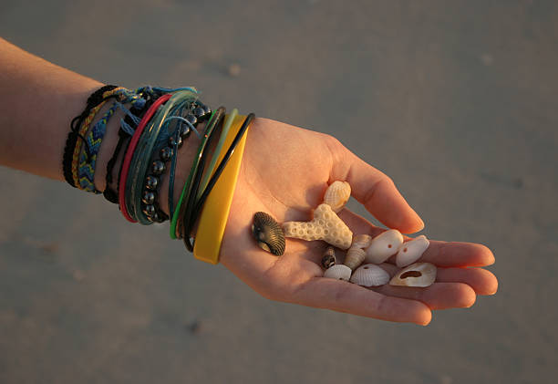 Shell Collecting stock photo