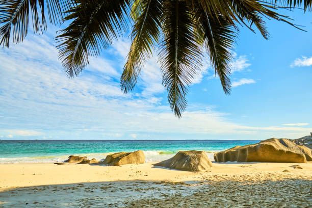 View of the Anse Source d'Argent beach on Seychelles in summer day.