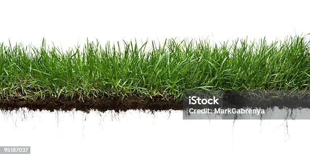 Grass And Roots Isolated Stock Photo - Download Image Now - Grass, Dirt, Cut Out