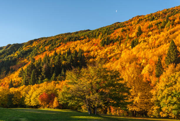 istock Arrowtown Autumn Colours 951874004