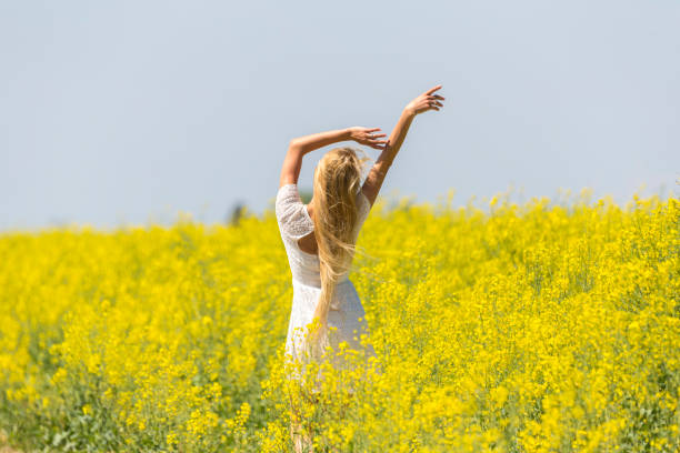 istock Attractive woman enjoying wind and sunshine in canola fields 951874752