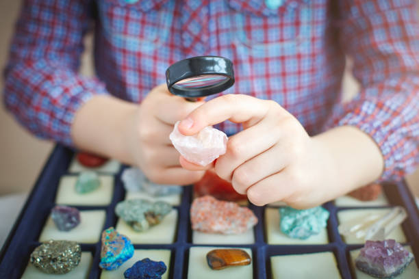 The child looks at his collection of minerals. The little geologist. The child looks at his collection of minerals. The little geologist geology stock pictures, royalty-free photos & images