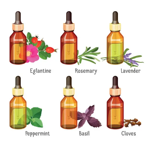 Vector illustration of Medical natural oils of wild herbs in bottles