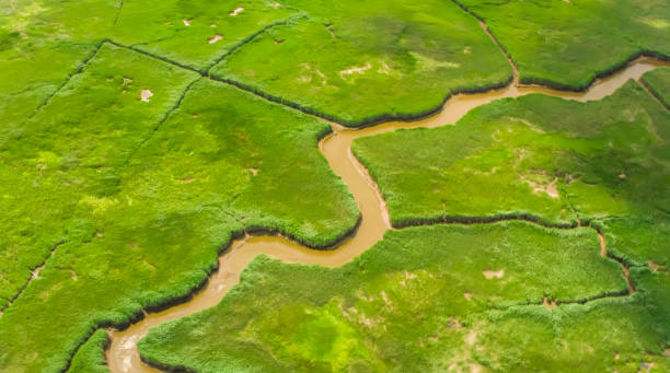 istock Raritan River running across an agricultural land 951879466