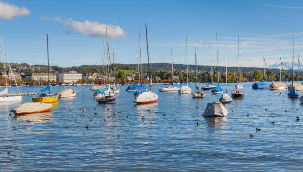 istock Lake Zurich in Switzerland 951889776