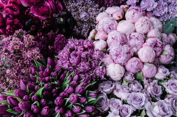 Photo of Stunning gradient of fresh blossoming flowers  from dark purple to pastel lavender colors. Top view of flowers at the florist shop: peonies, roses, tulips, carnations, ranunculus, flat lay