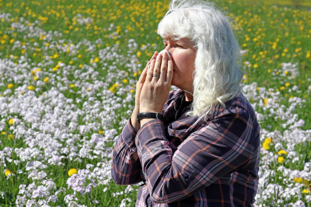 istock An older woman has hay fever 951909516