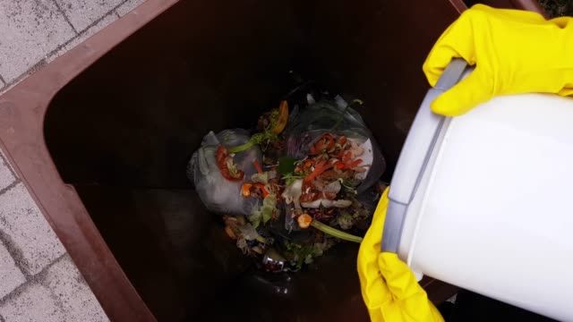 Collecting Biodegradable Waste In A Container