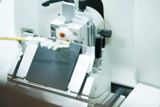istock Rotary Microtome Section for diagnosis in pathology make microscope slide histology. 951912076