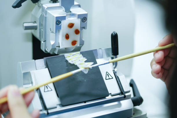 istock Rotary Microtome Section for diagnosis in pathology make microscope slide histology. 951912094