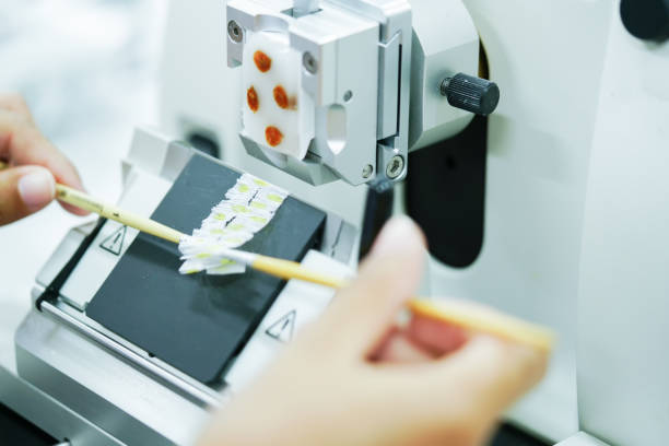 istock Rotary Microtome Section for diagnosis in pathology make microscope slide histology. 951912112