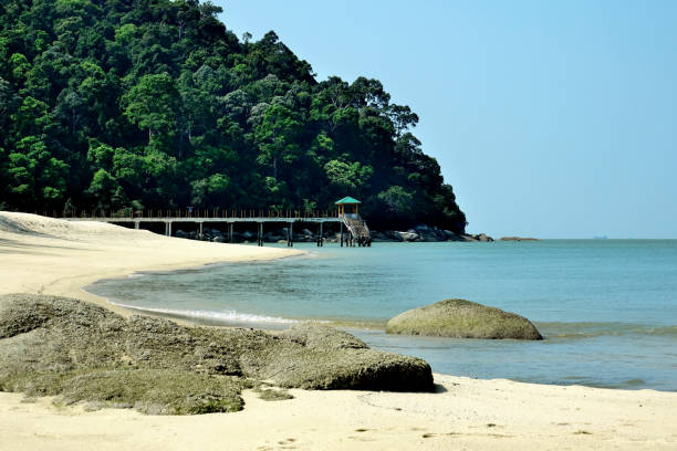 istock Malaysia Penang Island 951916786