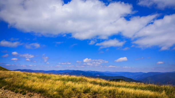 istock Polonyna Krasna 951917788