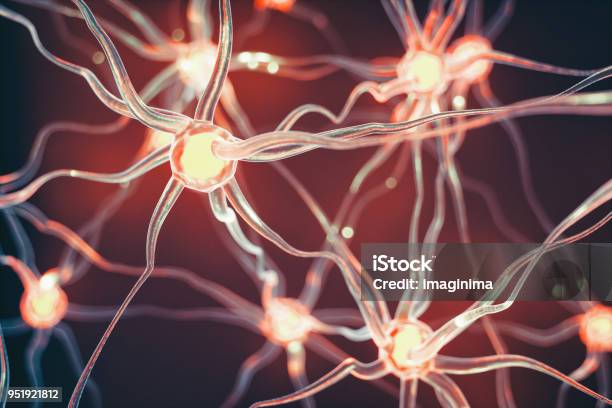 Photo libre de droit de Neurons banque d'images et plus d'images libres de droit de Neurone - Neurone, Système nerveux humain, Hormone