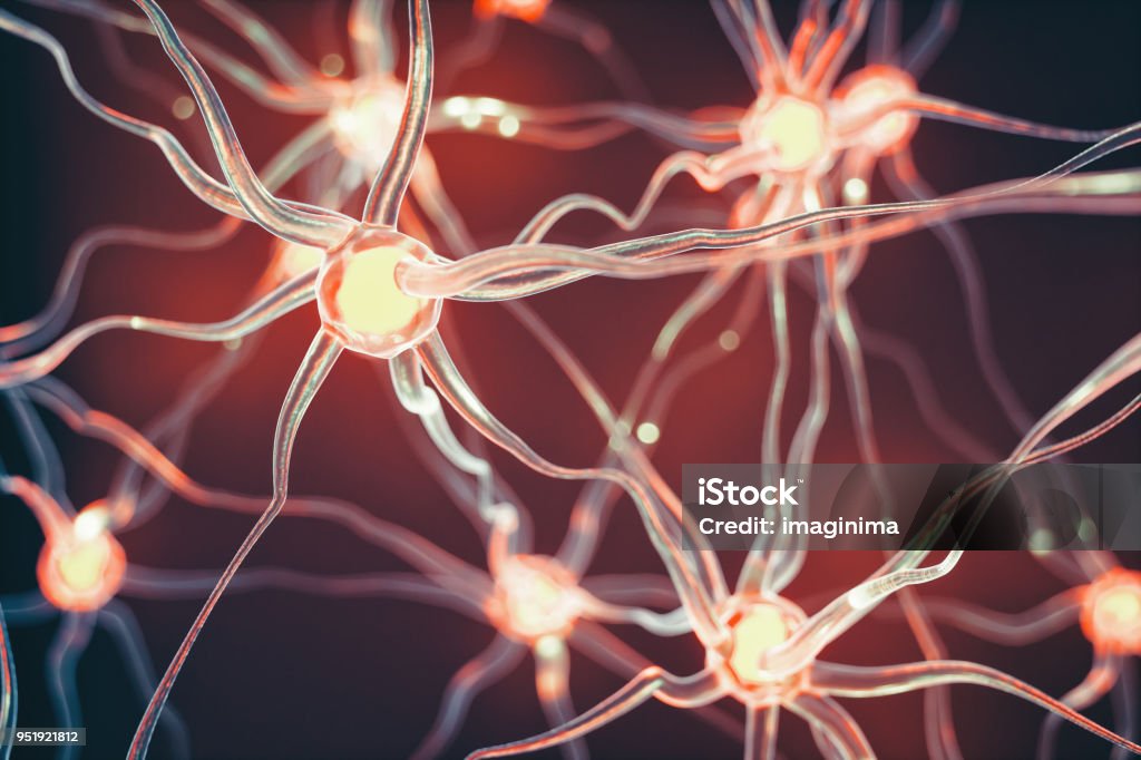 Neuroni - Foto stock royalty-free di Neurone