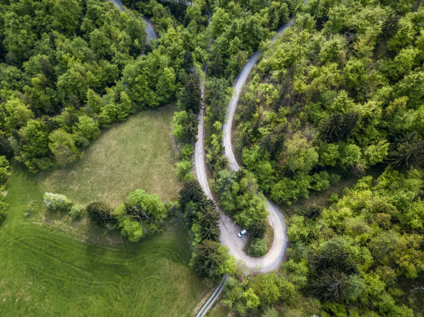 istock Aerial View of a Single Road in The Forest 951927384