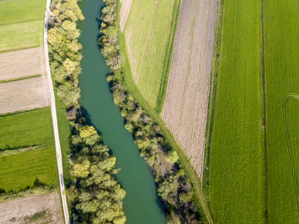 istock Aerial View of Nature, River 951928052