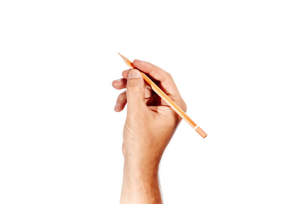 istock A man's hand holds an orange pencil on a white background, isolate. 951930574