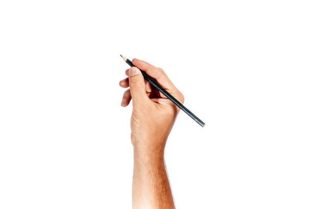 istock A man's hand holds a black pencil on a white background, isolate. 951930592