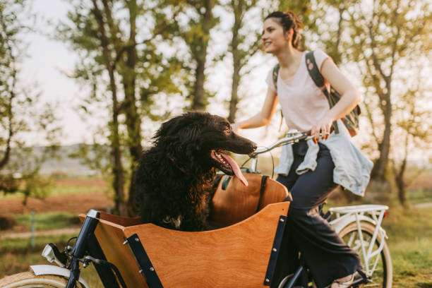 istock Outdoors nature ride with cargo bike 951934354