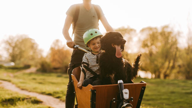 The three of us, always together Father, son and their dog riding a cargo bike in nature cargo bike photos stock pictures, royalty-free photos & images