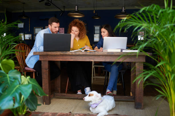 istock People in coffee shop 951941722