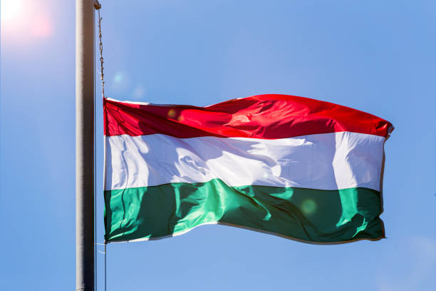istock the hungarian national flag 951943066