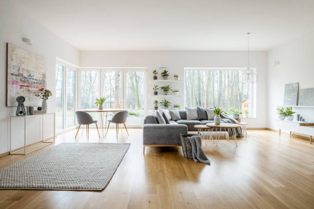 istock White elegant living room interior with windows, grey corner sofa and modern art posters 951946294