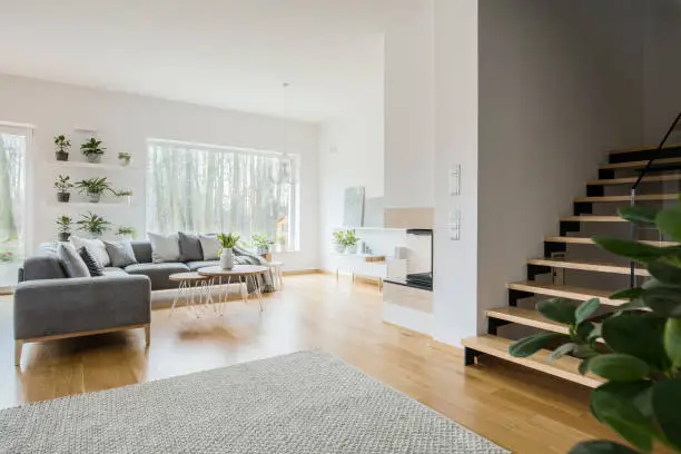 Photo of White living room interior with grey corner couch, green fresh plants, carpet on the floor and wooden stairs