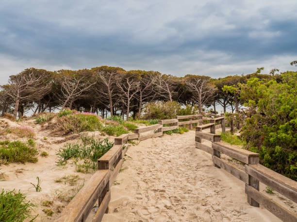 istock Sand beach near Alghero, Sardinia 951951950