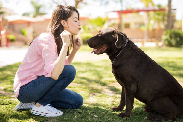 istock Cute woman with her dog 951952108