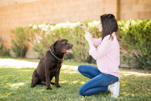 istock Cute woman with dog 951952272