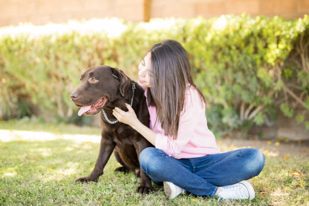 istock Attractive woman playing with pet 951952524