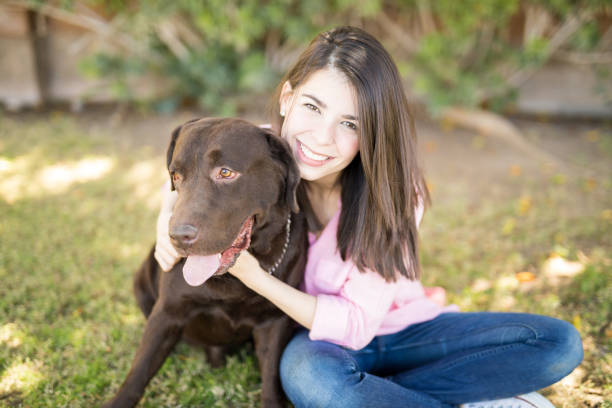 istock Handsome dog with woman 951952556