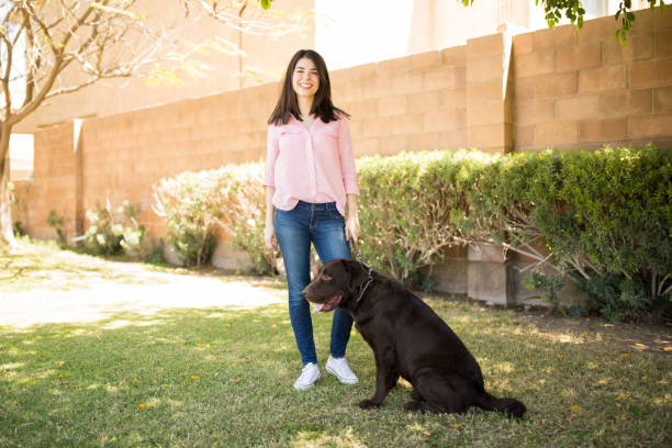 istock Tired dog sitting in park with owner holding leash 951955204