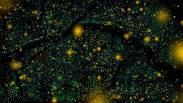 Dark green forest with many yellow fireflies Dark green forest with many yellow fireflies firefly forest stock pictures, royalty-free photos & images