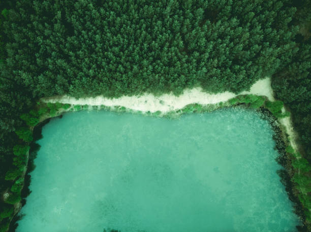 istock Wild pond in forest, birds eye aerial drone view 951955902