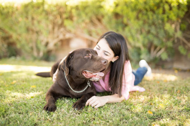 istock Woman kissing pet dog 951955966